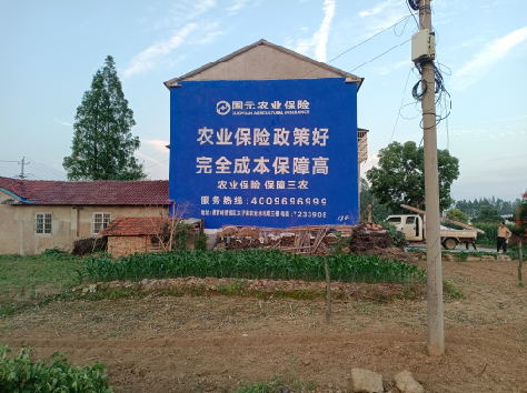 上蔡墙体广告为何受追捧？