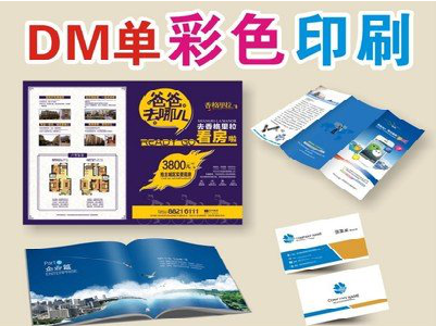 上蔡单页印刷，色彩搭配简单。